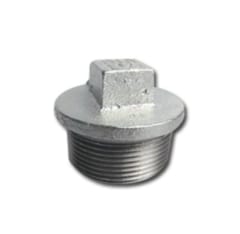 1" GALVANİZ TAPA